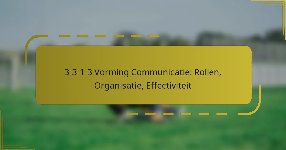 3-3-1-3 Vorming Communicatie: Rollen, Organisatie, Effectiviteit