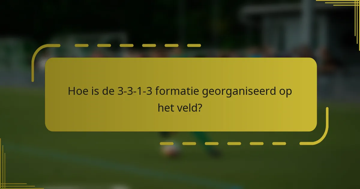 Hoe is de 3-3-1-3 formatie georganiseerd op het veld?