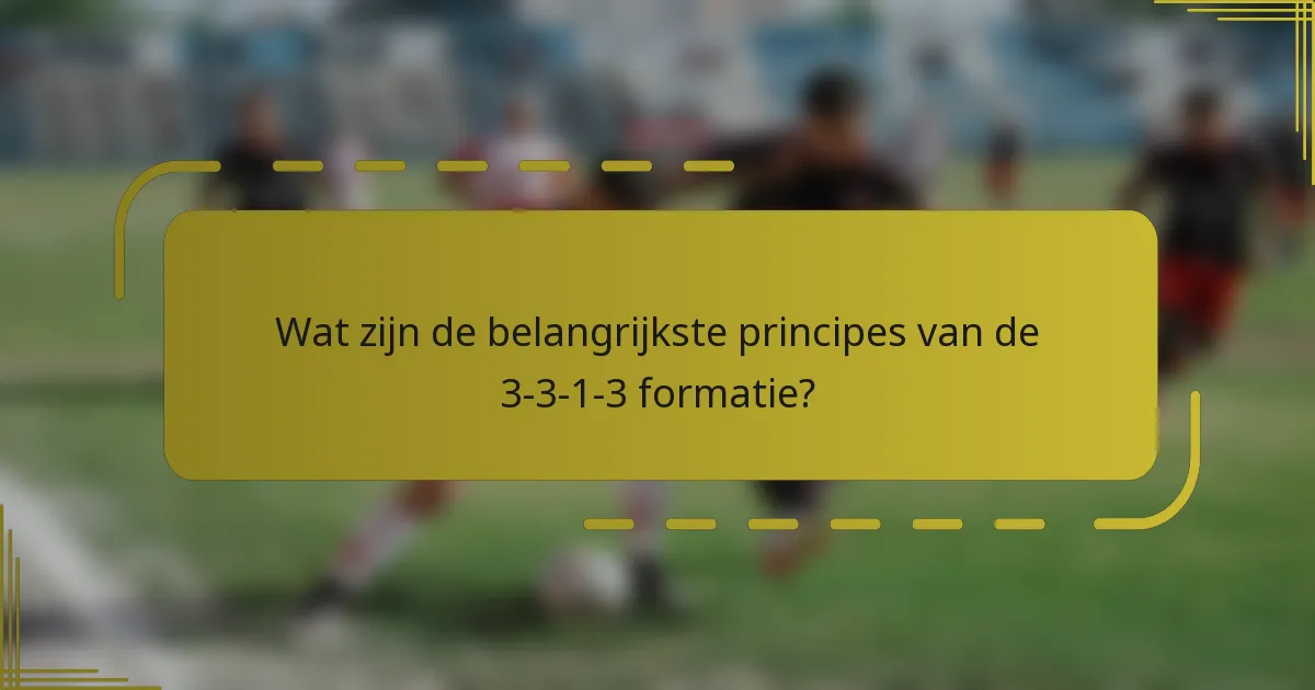 Wat zijn de belangrijkste principes van de 3-3-1-3 formatie?
